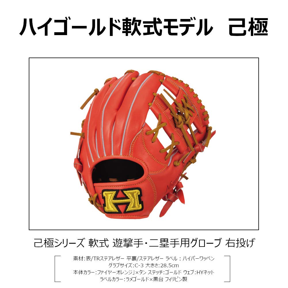 Hi GOLD 己極 軟式 グローブ 遊撃手 二塁手用 己極 野球 ハイゴールド 軟式グローブ 大人 Hi-Gold グラブ
